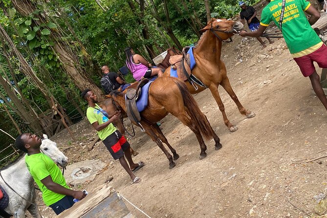 Private Horseback Riding with Blue Hole River Tour in Montego Bay - Choosing your horse at Discover Bay