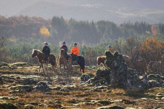 Private Icelandic Horseback Ride: Matched to Skill Level - Key points to know before you book