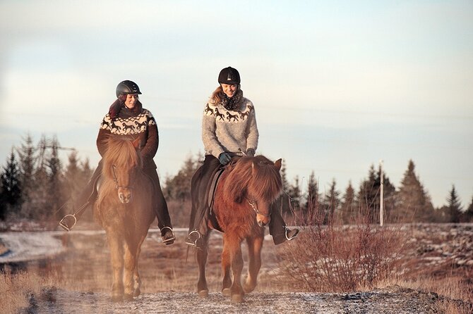 Private Icelandic Horseback Ride: Matched to Skill Level - Riding an Icelandic horse outside Reykjavik