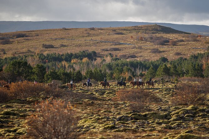 Private Icelandic Horseback Ride: Matched to Skill Level - Why the private format matters