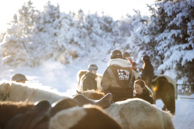 Private Icelandic Horseback Ride: Matched to Skill Level - What the guides add to the ride