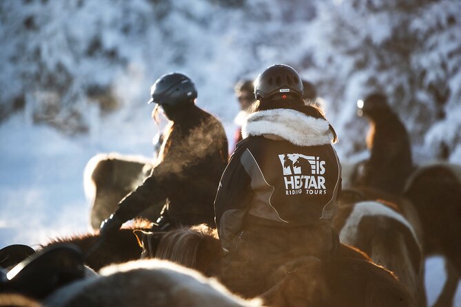 Private Icelandic Horseback Ride: Matched to Skill Level - Who will get the most from this ride