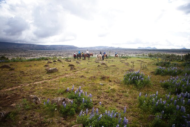Private Icelandic Horseback Ride: Matched to Skill Level - How the price compares with the experience