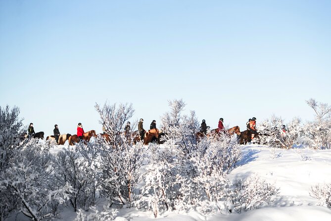 Private Icelandic Horseback Ride: Matched to Skill Level - What the 50-minute route gives you