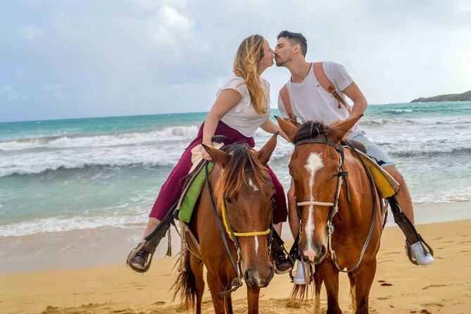 Private Macao Beach horseback riding in punta cana and Bayahibe - Learning the basics before you ride