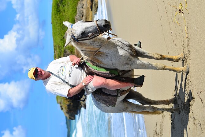 Private Macao Beach horseback riding in punta cana and Bayahibe - Walking, trotting, or cantering at your own level