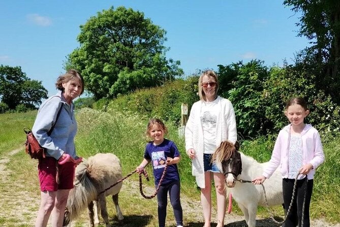 Private Miniature Horse Walking near Lincoln - Key points to know before you book