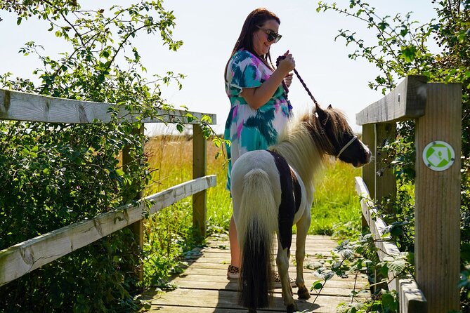 Private Miniature Horse Walking near Lincoln - Practice steering and stopping in the yard