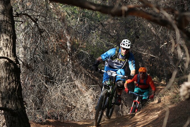 Private Mountain Bike,Trail Ride Tour of Mount Ymittos, Athens. - How Alessio handles different skill levels