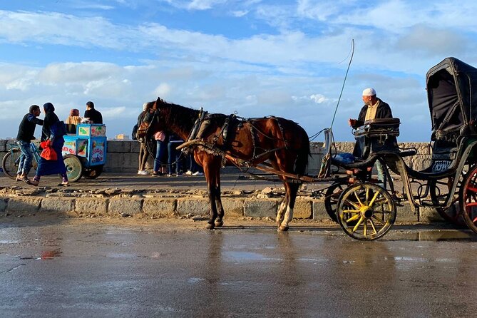 Private Night Tour In Alexandria By Horse Carriage Ride And Free Walking Tour - What the $55 price covers
