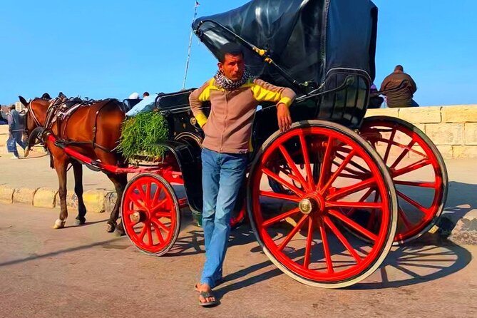 Private Night Tour In Alexandria By Horse Carriage Ride And Free Walking Tour - The horse carriage ride to Quaitbay Citadel