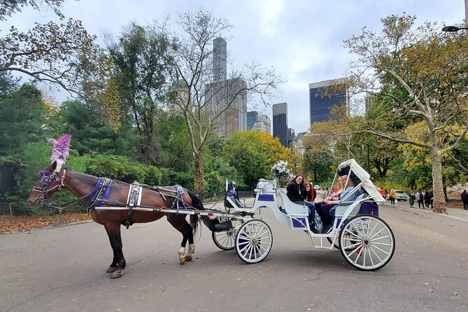 Private NYC Central Park Horse Carriage Ride (Guided) Since 1965™ - Key points to know before booking
