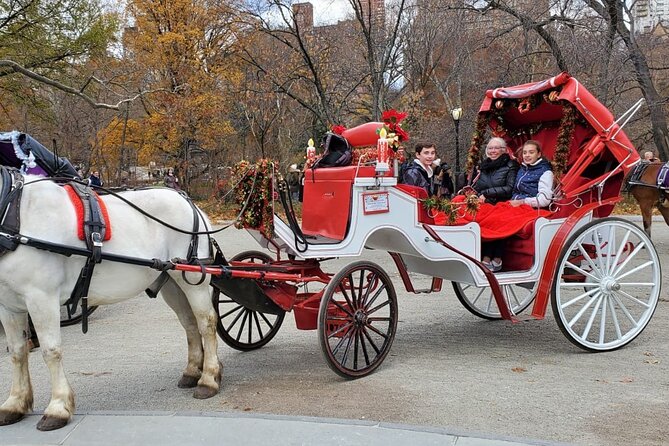 Private NYC Central Park Horse Carriage Ride (Guided) Since 1965™ - The Dairy and the Mall’s American elms
