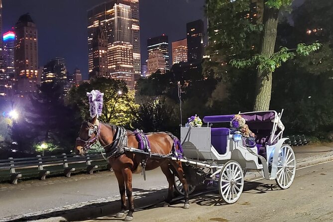 Private NYC Central Park Horse Carriage Ride (Guided) Since 1965™ - Balto, Rumsey Playfield, and the Conservatory Water