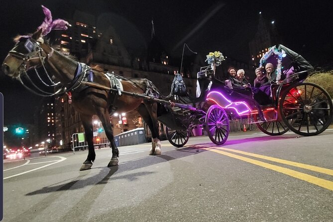 Private NYC Central Park Horse Carriage Ride (Guided) Since 1965™ - Bethesda Fountain and the short walk to its angel