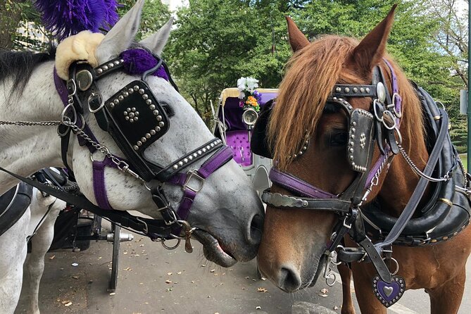 Private NYC Central Park Horse Carriage Ride (Guided) Since 1965™ - Cherry Hill, Bow Bridge, and the Lake