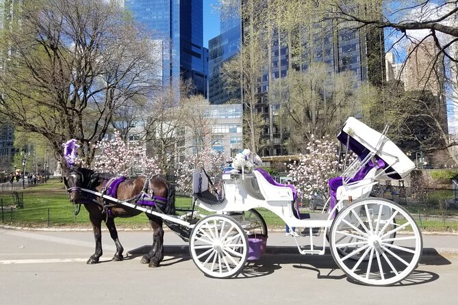Private NYC Central Park Horse Carriage Ride (Guided) Since 1965™ - Wollman Rink, the Carousel, and Chess and Checkers House