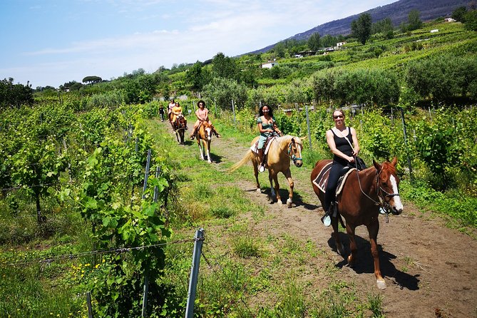 Private Pompeii, Horse Riding & Lunch Tour w/ Pick up included - Why this Sorrento day works so well