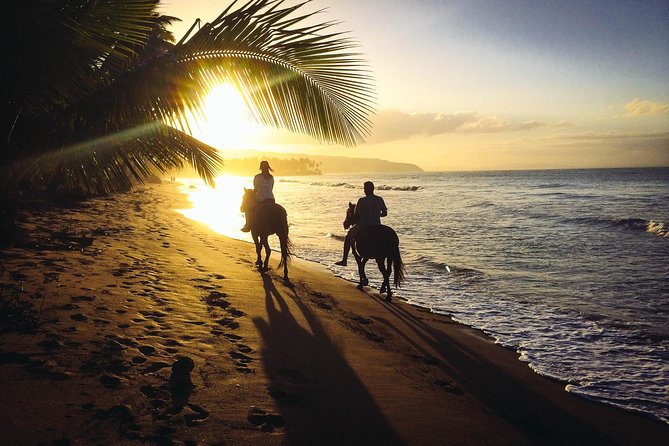 Private Sunset Horseback Riding in punta cana beach - Key points before you book