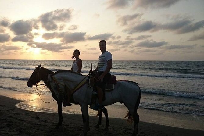 Private Sunset Horseback Riding in punta cana beach - Guides, safety, and the private format