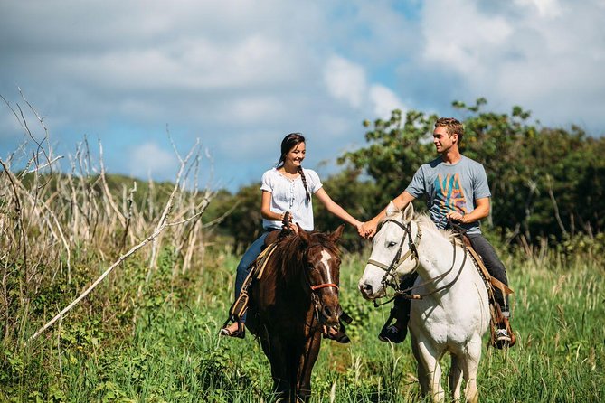 Private Sweetheart Horseback Ride - A private horseback ride on Oahu’s North Shore