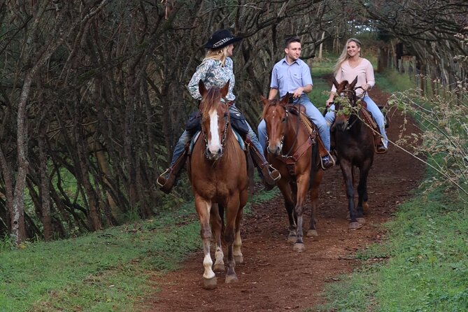 Private Sweetheart Horseback Ride - The ride back and the limits of the experience