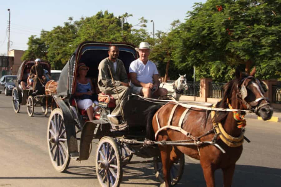 Private Tour Alexandria By Night By Horse Carriage ride - Walking across Stanley Bridge