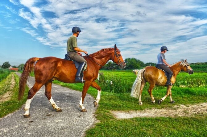 Private Tour Horseback Riding from Ocho Rios or Runaway Bay - Who will enjoy this Jamaican outing