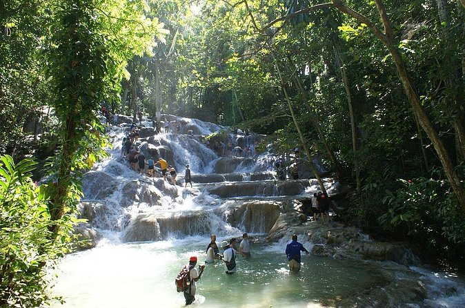 Private Tour to Dunns River and Horseback Riding with Local Guide - Why a private guide changes the day