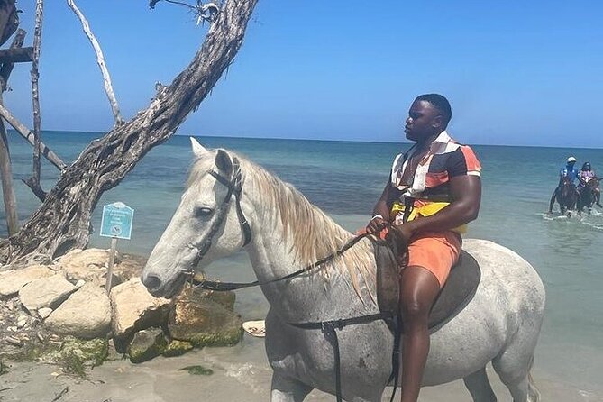 Private Tour to Dunns River and Horseback Riding with Local Guide - Transport, food, and what the $115 covers
