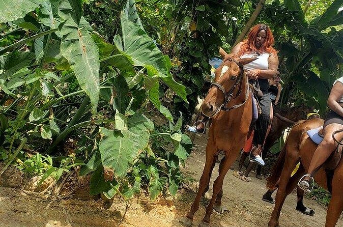 Private Tour to Dunns River and Horseback Riding with Local Guide - What Green adds to the experience