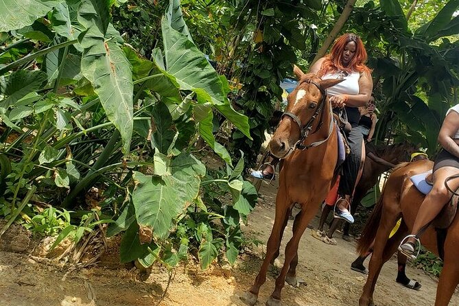 Private Tour to Dunns River and Horseback Riding with Local Guide - Practical preparation for the day
