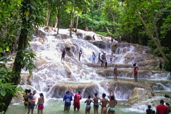 Private Tour to Dunns River and Horseback Riding with Local Guide - Dunns River Falls: a climb through moving water