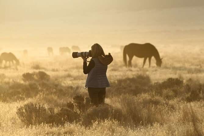Private Wild Horse Photo Safari from Tooele - Key points at a glance