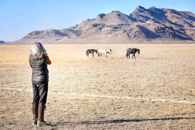Private Wild Horse Photo Safari from Tooele - Three and a half hours to work on your photographs