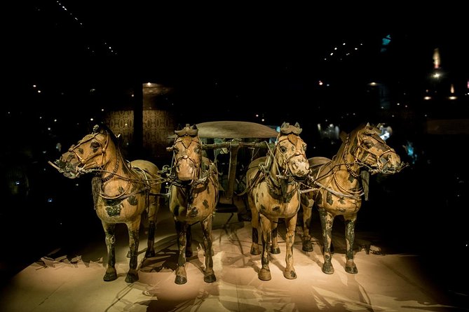Private Xian Day Tour: Terracotta Warriors, Big Wild Goose Pagoda - Big Wild Goose Pagoda and Tang Dynasty Xi’an