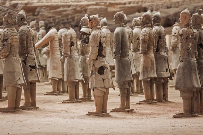 Private Xian Day Tour: Terracotta Warriors, Big Wild Goose Pagoda - Grand Tang Dynasty Ever Bright City
