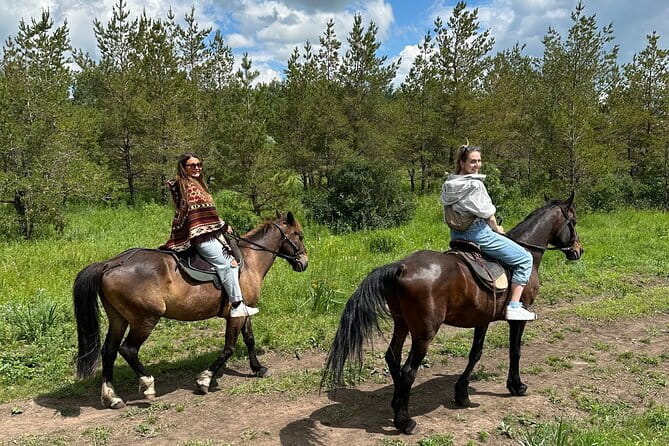 Private Yurt Tour with Horses: Immerse into Kazakh Culture - Entering a traditional Kazakh yurt