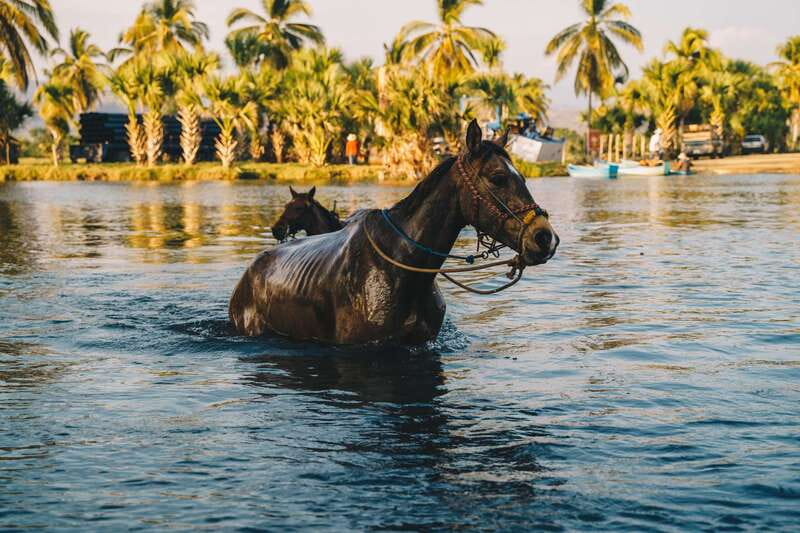 Puerto Escondido: Sunset Horse Back Riding Tour - Practical Packing Advice for the River and Beach