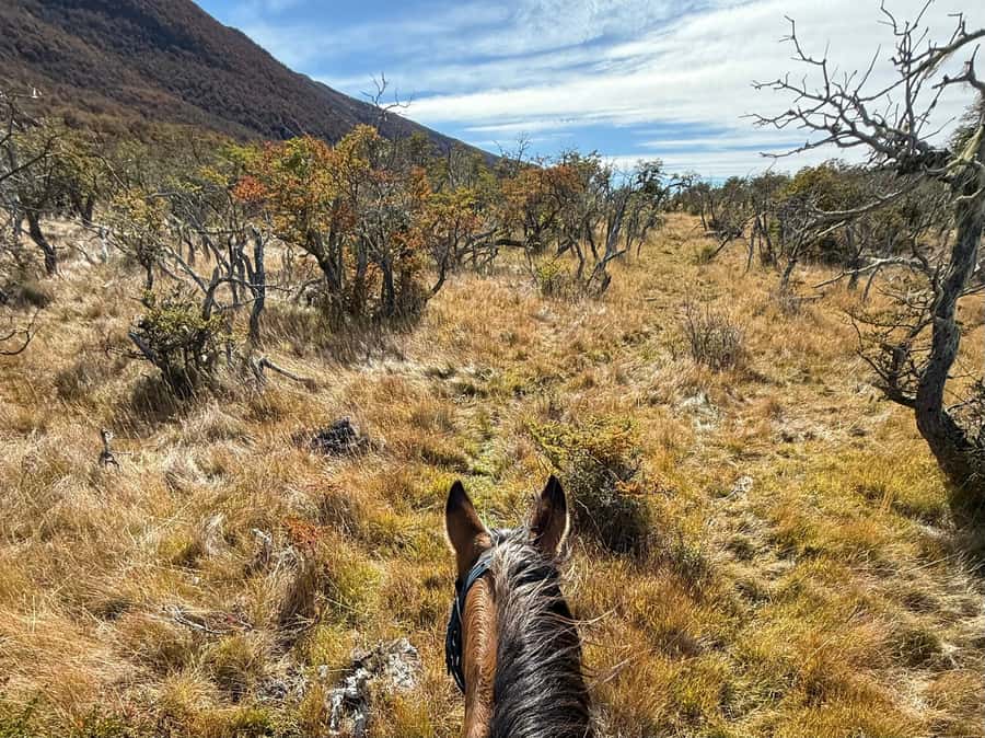 Puerto Natales: Full Day Horse Riding to the Mountains - Simple preparation that will improve your day