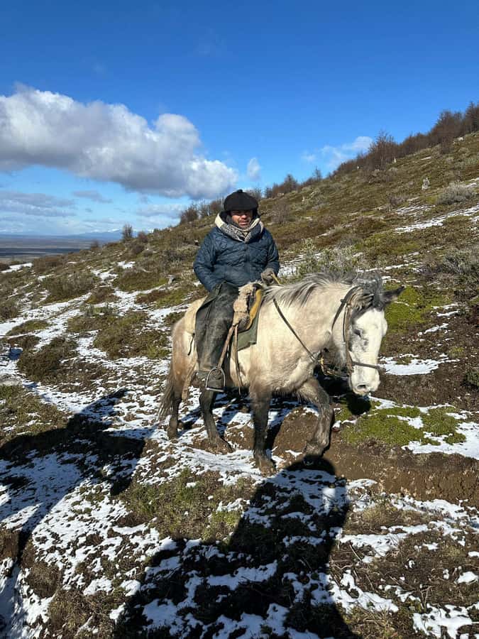 Puerto Natales: Horseback Riding to Dorotea Fjord Lookout - Should you book the Cerro Dorotea ride?