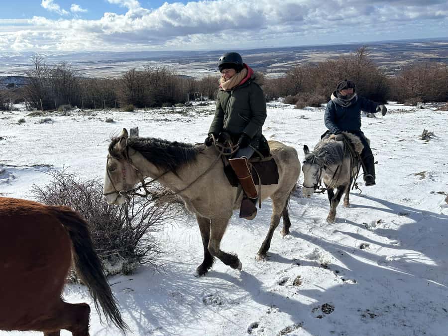 Puerto Natales: Horseback Riding to Dorotea Fjord Lookout - Pickup from Puerto Natales and the ride to the base