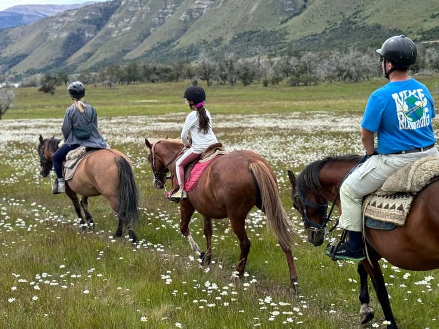 Puerto Natales: Horseback Riding with Horse Connection - Key points at a glance