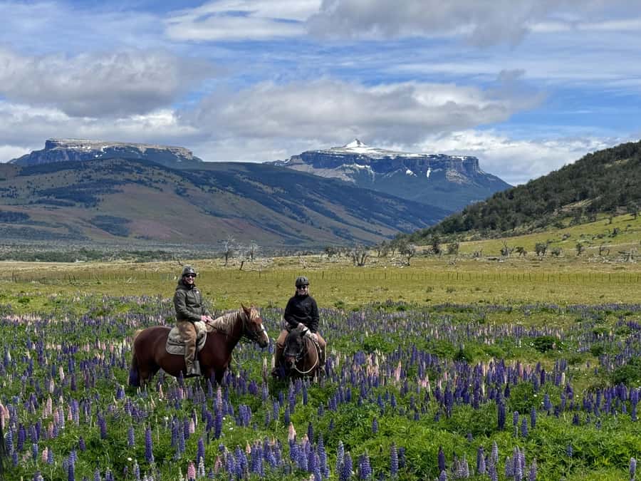 Puerto Natales: Horseback Riding with Horse Connection - Learning to ride before heading to Lake Figueroa