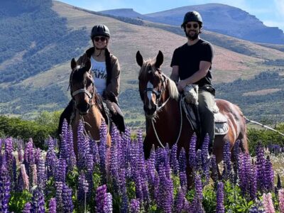 Puerto Natales: Horseback Riding with Horse Connection