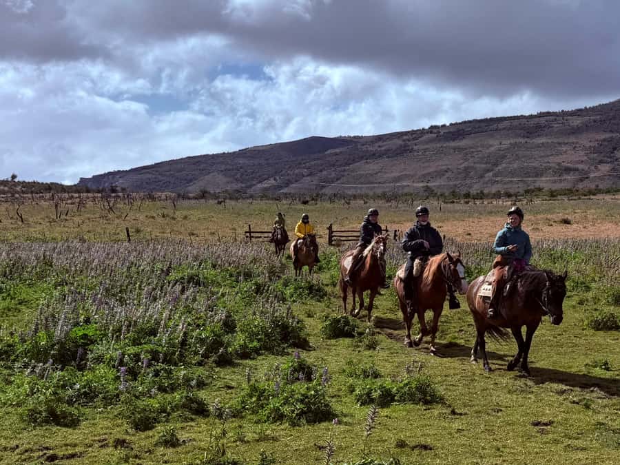 Puerto Natales: Horseback Riding with Horse Connection - The full-day option for confident riders