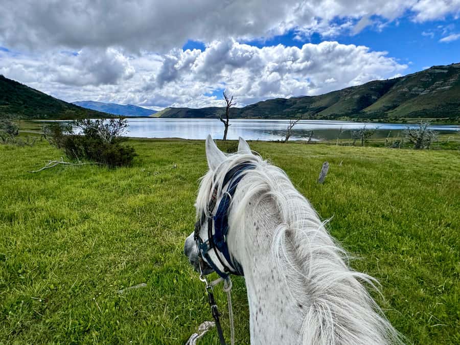Puerto Natales: Horseback Riding with Horse Connection - Tea, treats, and the return to the barn