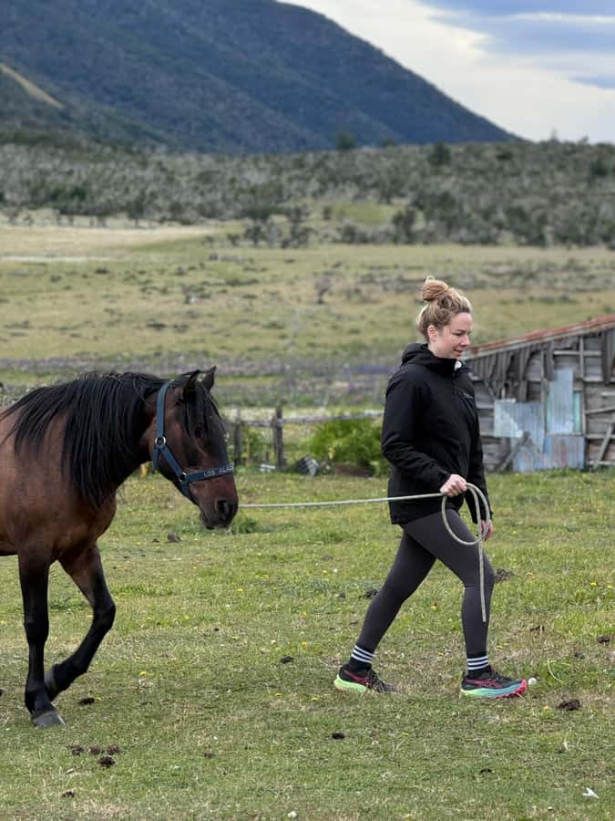 Puerto Natales: Horseback Riding with Horse Connection - What the $150 price includes