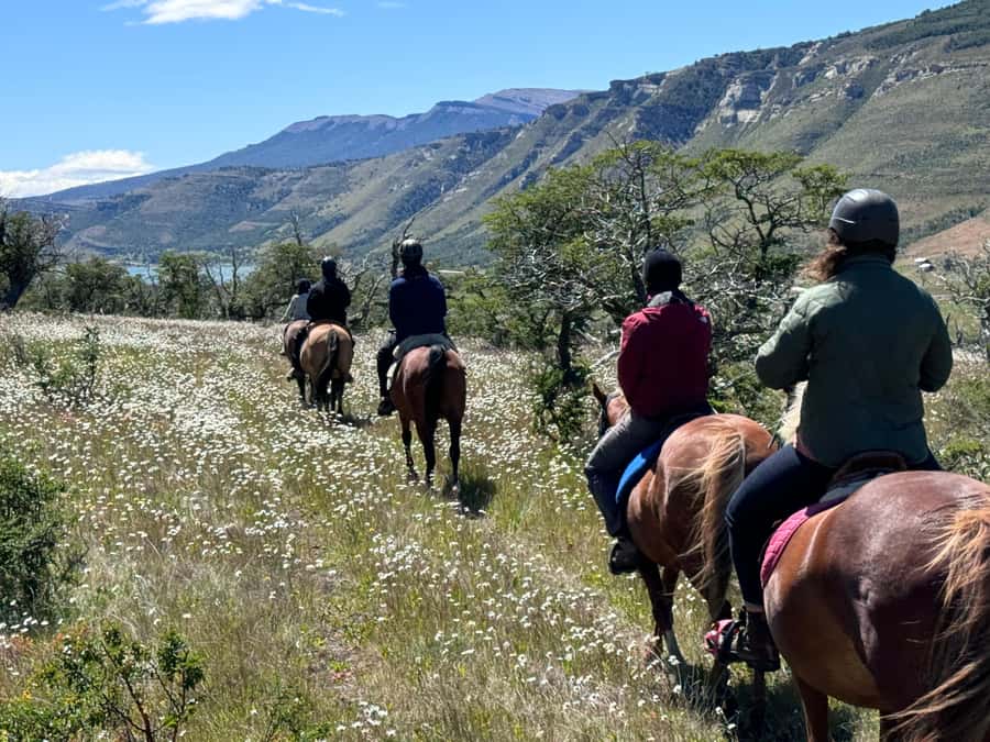Puerto Natales: Horseback Riding with Horse Connection - Who will enjoy this most