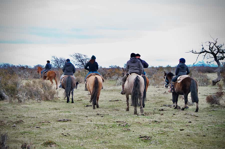 Puerto Natales: Traditional Horseback Riding Experience - Why this Puerto Natales horseback ride feels authentic